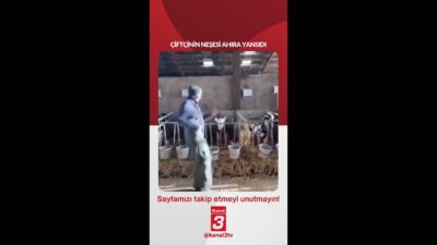 Çiftçinin neşesi ahıra yansıdı… 📶https://kanal3.com.tr/ Sosyal Medya Hesaplarımızı Takip Ederek