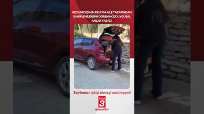 Bir köpek, kız kardeşinin de aynı aile tarafından sahiplenildiğini öğrenince