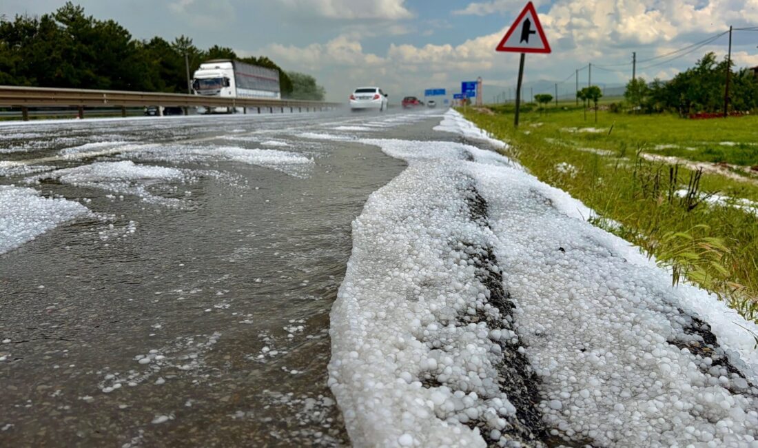 Afyonkarahisar genelinde aniden bastıran ve tarım arazilerinde ciddi hasara yol