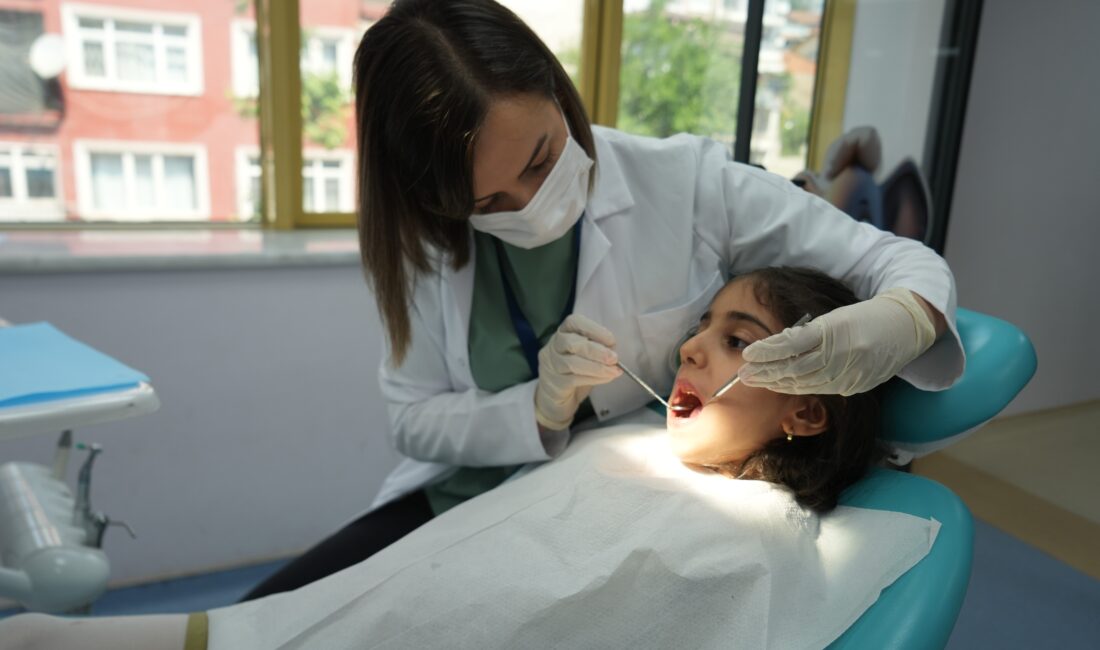 Öğretim Üyesi Uzm. Dr. Hülya Çerçi Akçay, süt dişlerinin "nasıl