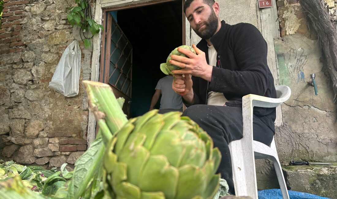 Türkiye'de tarımsal üretimin ve gastronominin başkentlerinden Bursa'da, ilkbahar ve yaz