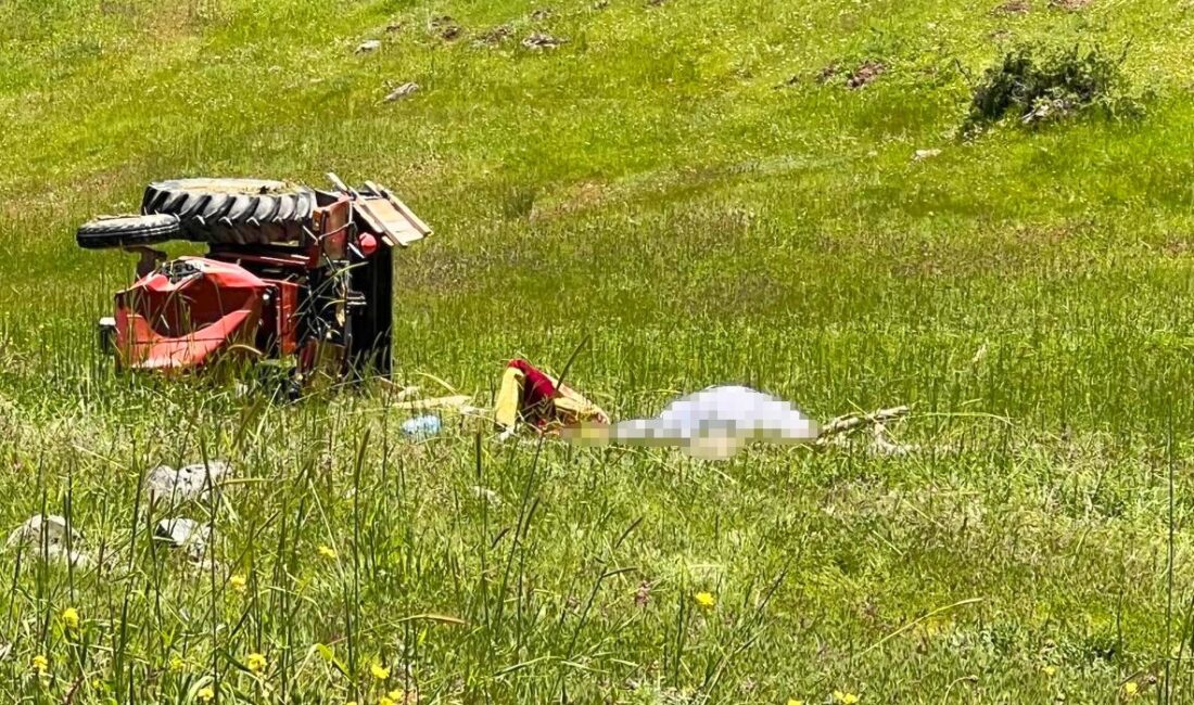 Çorum’un Osmancık ilçesinde akşam saatlerinde yürekleri ağza getiren korkunç bir