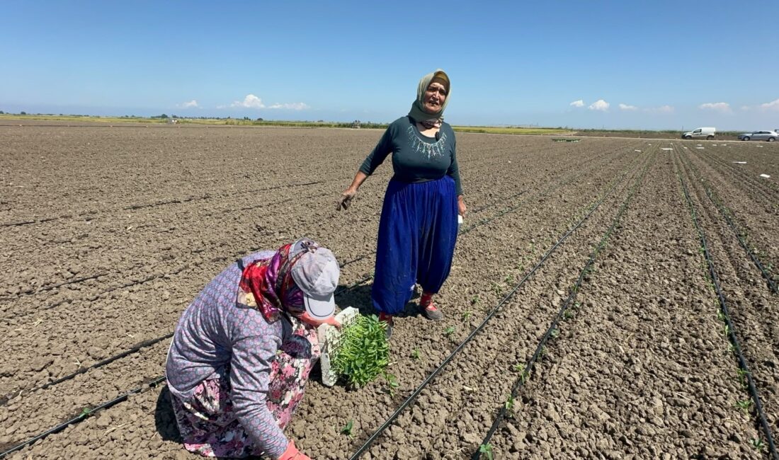 Balıkesir'de yaşayan 70 yaşındaki Fatma Güney, tam 10 yıl önce