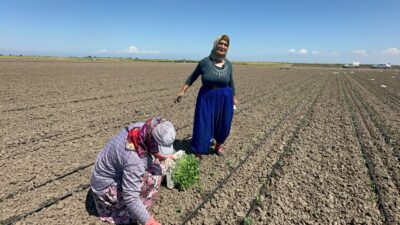 Balıkesir'de yaşayan 70 yaşındaki Fatma Güney, tam 10 yıl önce