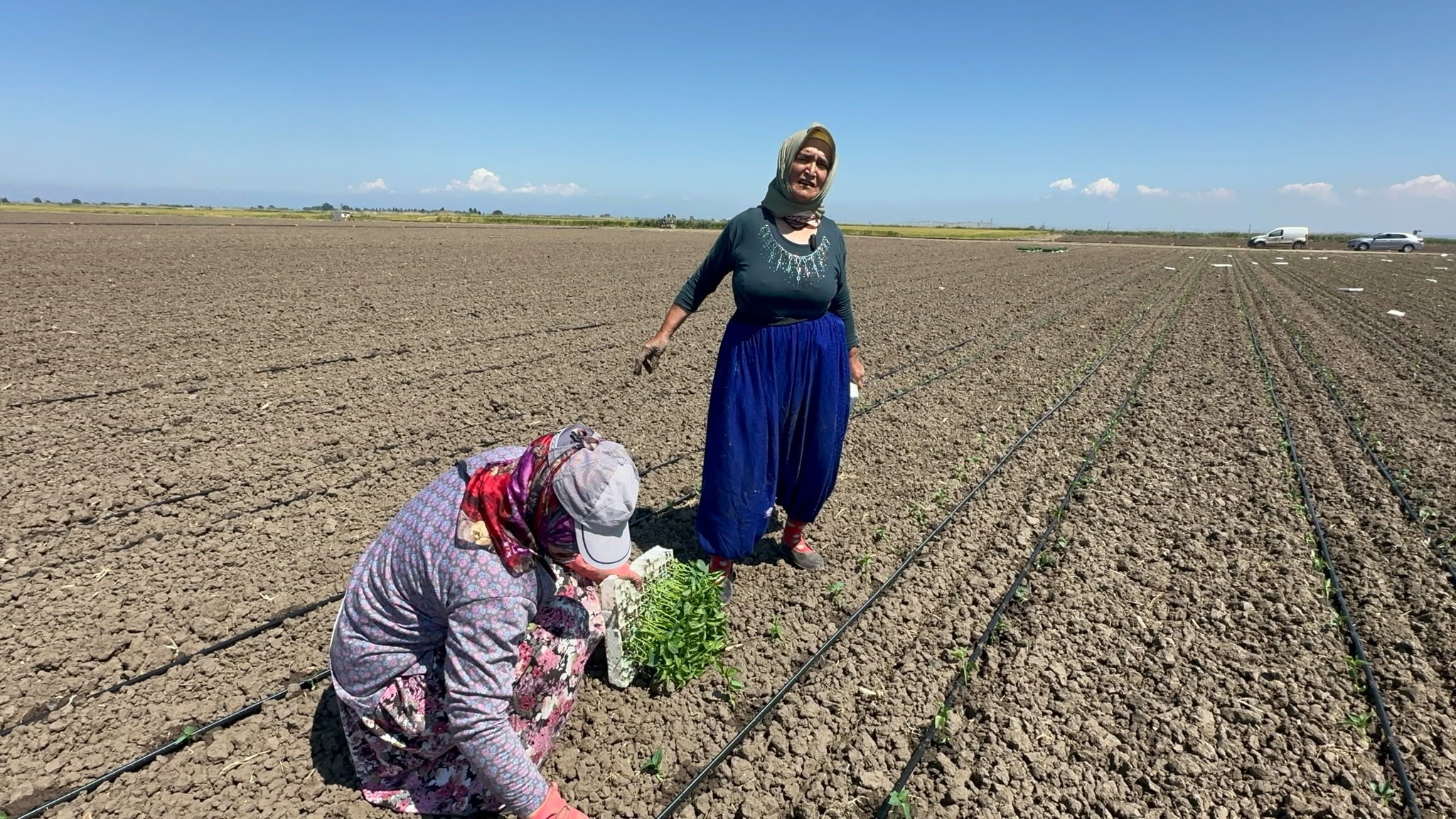Balıkesir'de yaşayan 70 yaşındaki Fatma Güney, tam 10 yıl önce