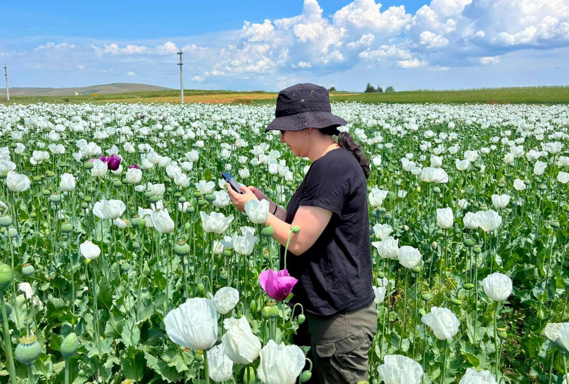 Afyonkarahisar genelinde tarımsal üretimin daha planlı ve verimli bir şekilde