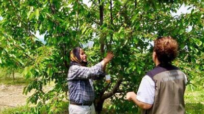 Afyonkarahisar’ın dünyaca ünlü tarımsal markalarından biri olan tescilli lezzet için