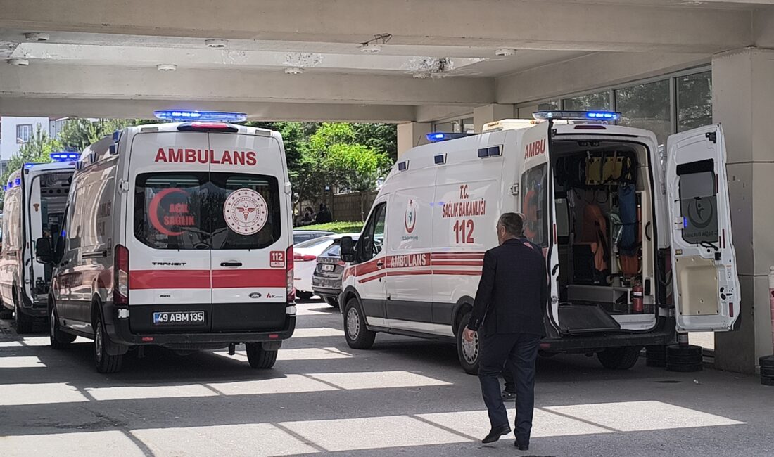 Muş merkeze bağlı bir köyde iki aile arasında uzun süredir