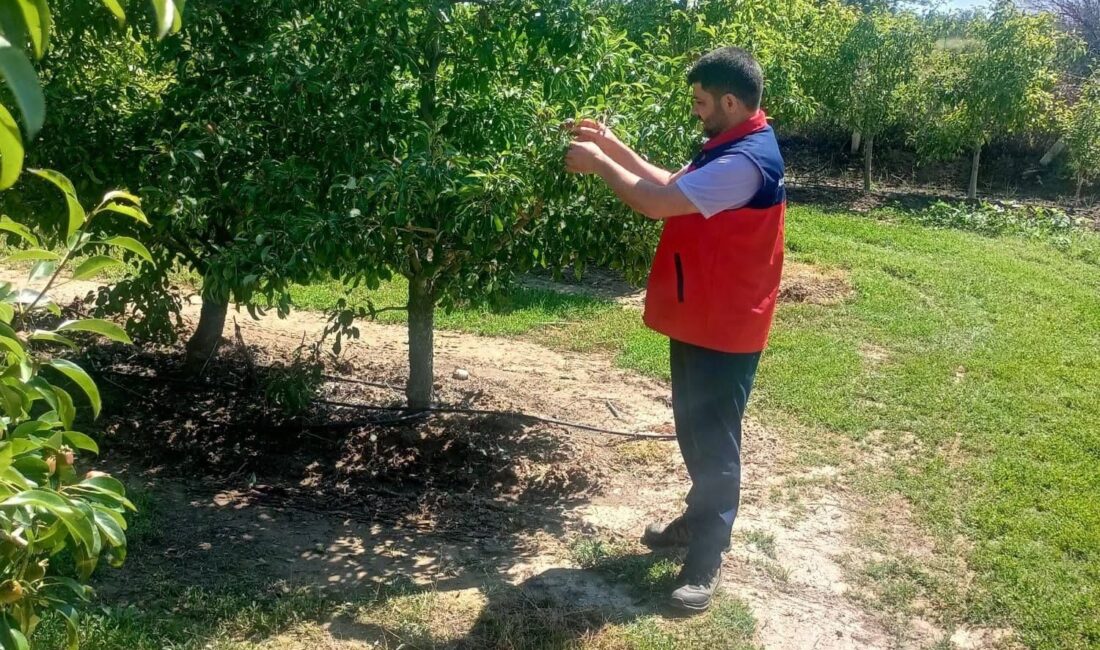 Afyonkarahisar’da geçtiğimiz hafta sonu aniden bastıran ve ekili dikili alanları