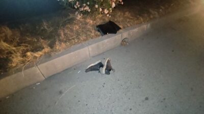 Antalya’da dün sabah saatlerinde meydana gelen feci trafik kazası, tüm