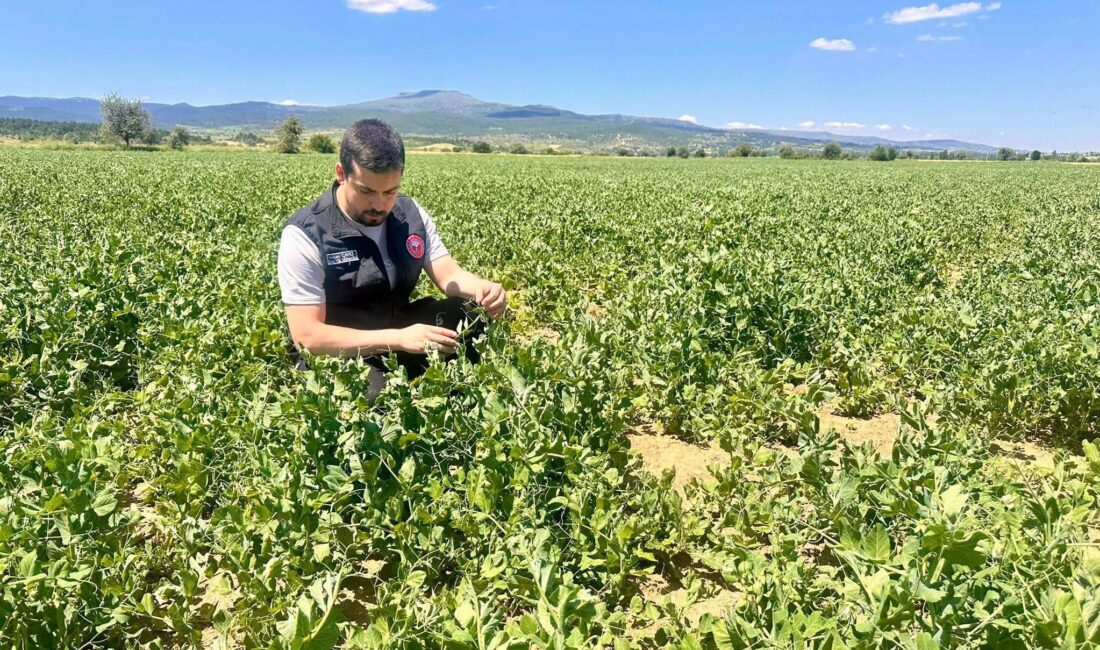 Afyonkarahisar’da tarımsal üretimin tesadüflere bırakılmaması, kaynakların doğru yönetilmesi ve gıda
