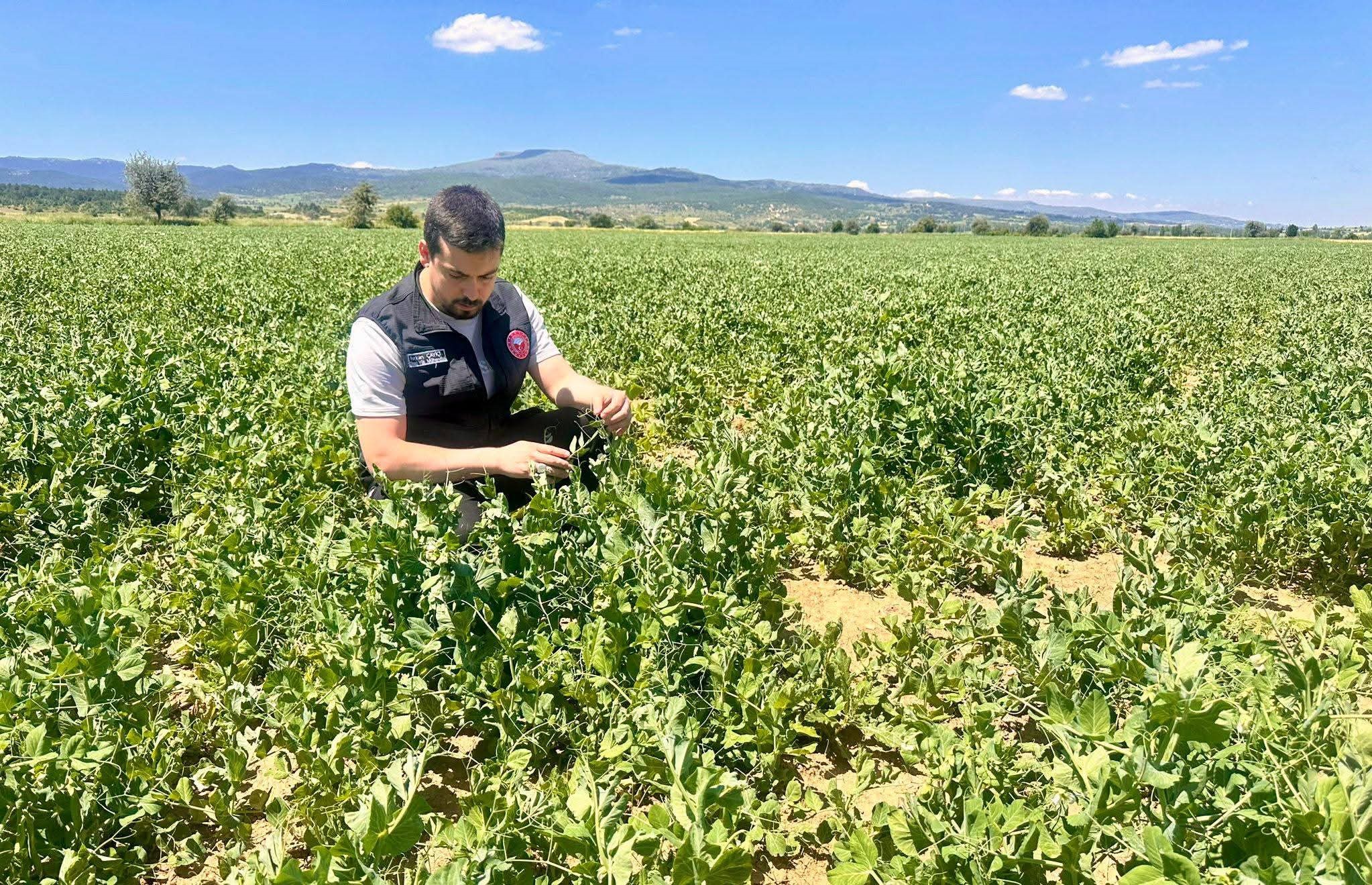 Afyonkarahisar’da tarımsal üretimin tesadüflere bırakılmaması, kaynakların doğru yönetilmesi ve gıda