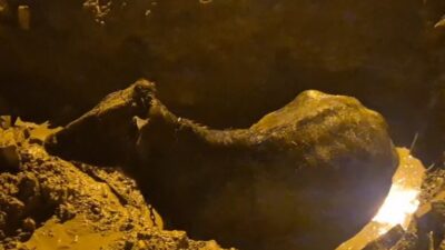 Afyonkarahisar’ın İhsaniye ilçesinde yürekleri ağza getiren ancak sonu mutlu biten