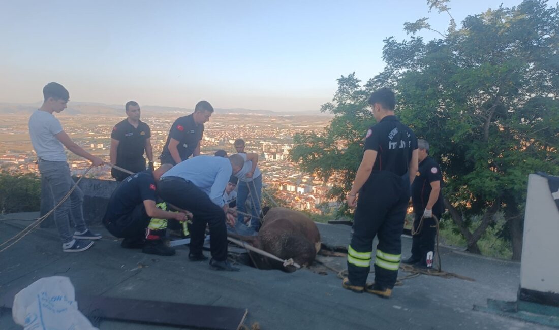Afyonkarahisar kent merkezinin en gözde noktalarından biri olan tarihi Hıdırlık