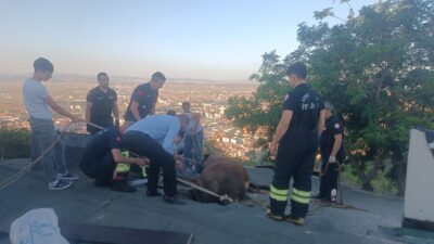 Afyonkarahisar kent merkezinin en gözde noktalarından biri olan tarihi Hıdırlık