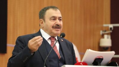 Cumhurbaşkanlığı Irak Özel Temsilcisi, eski Orman ve Su İşleri Bakanı