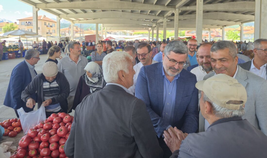 AK Parti Afyonkarahisar Milletvekili Ali Özkaya, hafta sonu gerçekleştirdiği yoğun