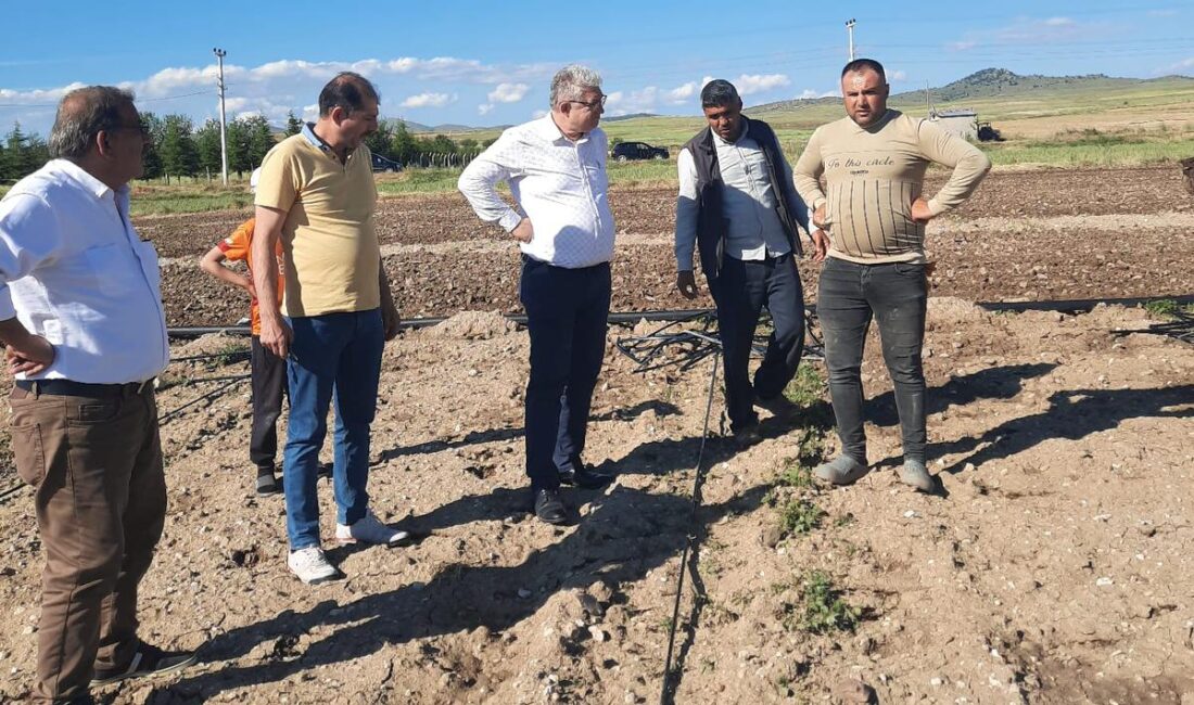 CHP Afyonkarahisar Belediye Meclis Üyesi ve Meclis Başkanvekili Dr. M.