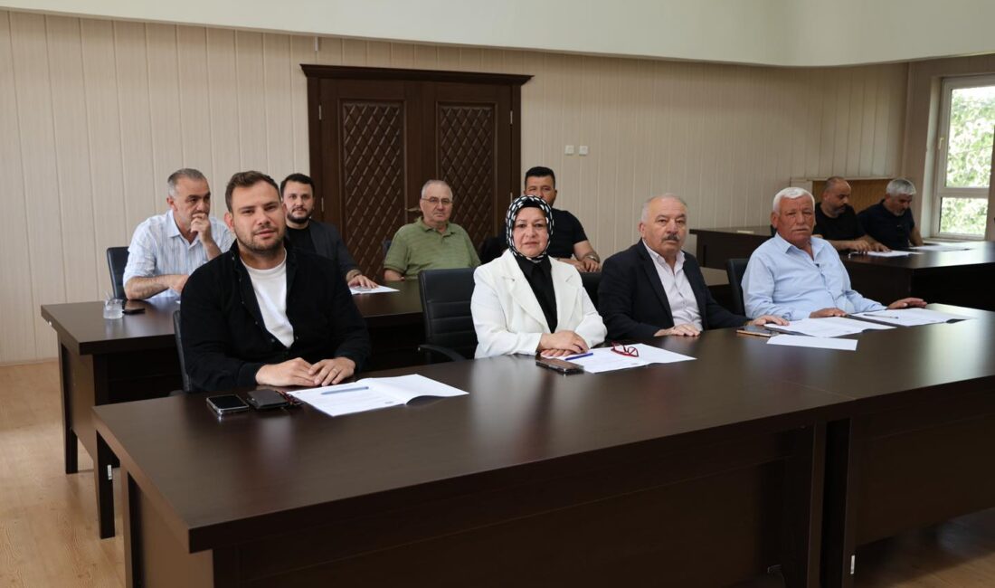 Dinar Belediyesi Haziran Ayı Olağan Meclis Toplantısı, Belediye Meclis Salonu’nda