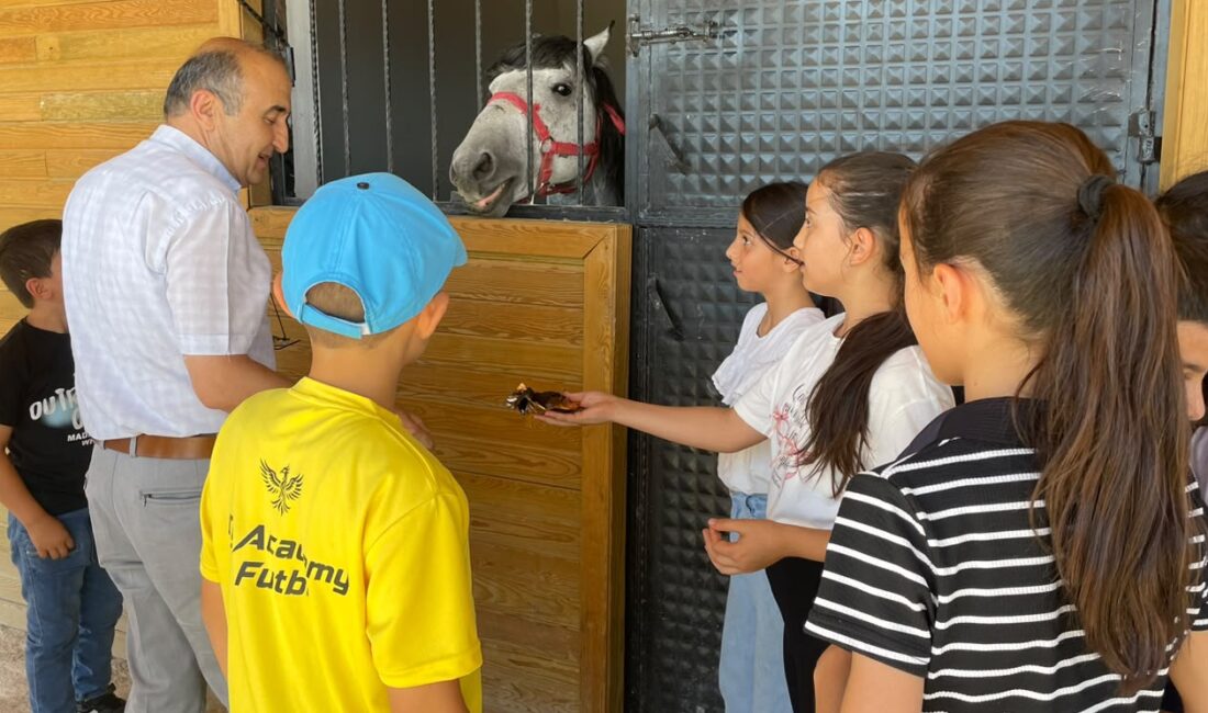 Emirdağ Belediye Başkanı Serkan Koyuncu’nun ilk dönem vizyon projelerinden biri