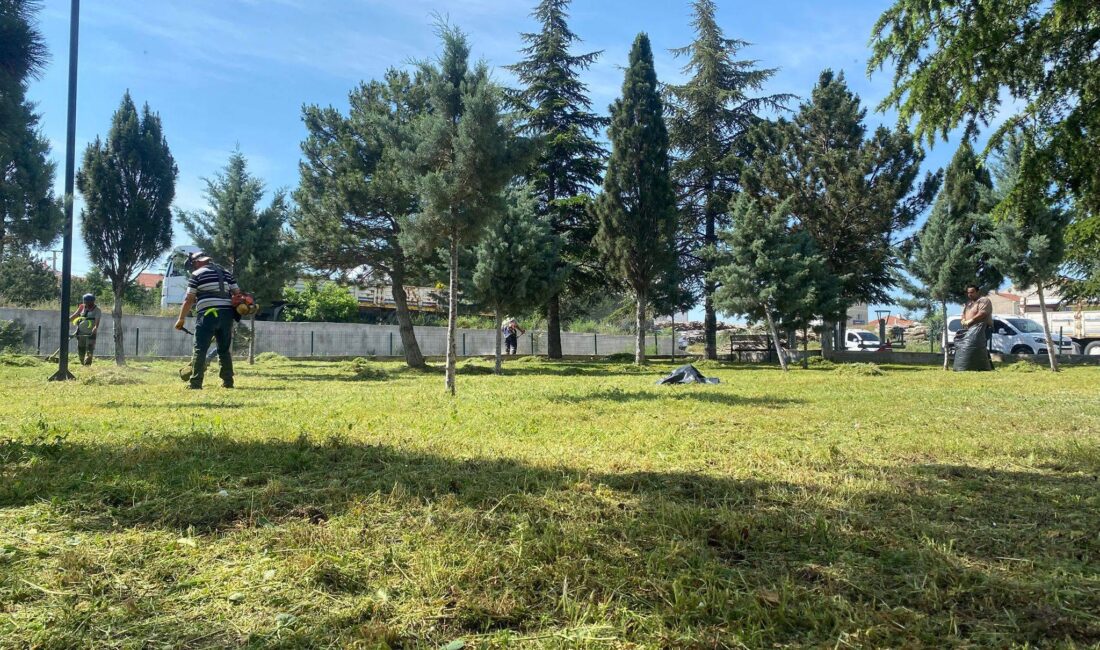 Emirdağ Belediyesi, ilçenin farklı noktalarında ot biçme ve çevre düzenleme
