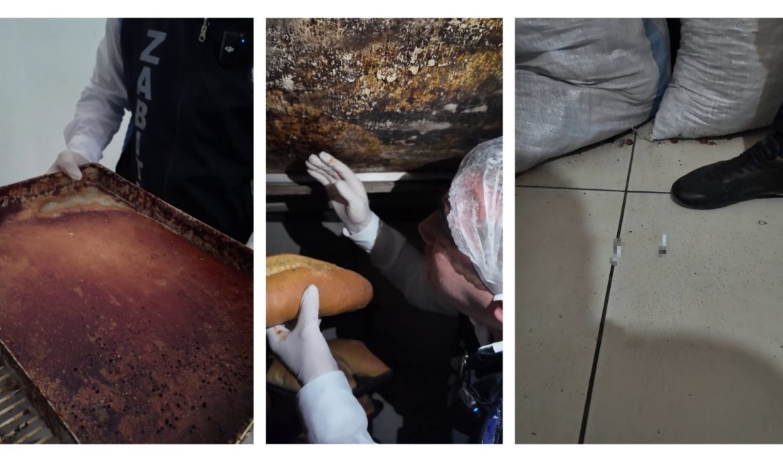 Hatay'da zabıta ekiplerinin fırın denetiminde; böcek, sigara izmaritleri ve hijyen