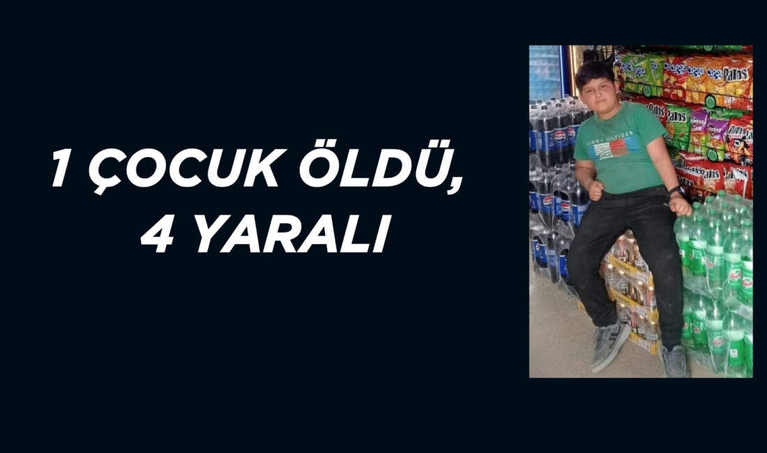 İzmir'in Ödemiş ilçesinde bir düğünde 'istek şarkı'nın çalınmamasına öfkelenen şahıs