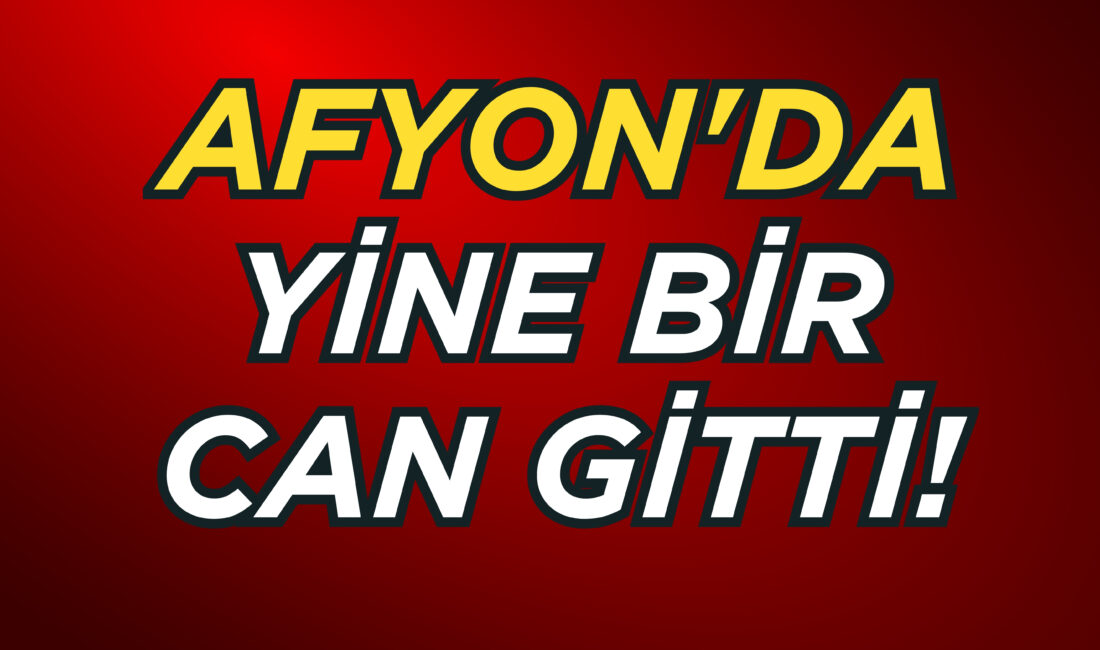 Afyonkarahisar’ın Çay ilçesinde, yoldan karşıya geçmeye çalışan 31 yaşındaki bir