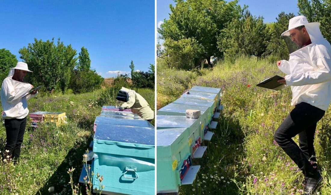 Afyonkarahisar'ın Sandıklı ilçesinde, tarımsal üretimin ve biyoçeşitliliğin en önemli unsurlarından