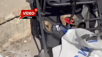 Şanlıurfa'nın Karaköprü ilçesinde bir ağaçtan bebek arabasına düşen yılan, itfaiye