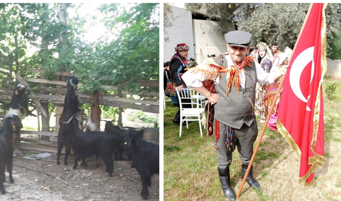 Kütahya'nın Gediz ilçesinde bulunan ve Batı Anadolu'nun en önemli doğal