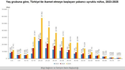 Türkiye İstatistik Kurumu'nun (TÜİK) 2025 yılı Uluslararası Göç İstatistikleri, Türkiye'nin