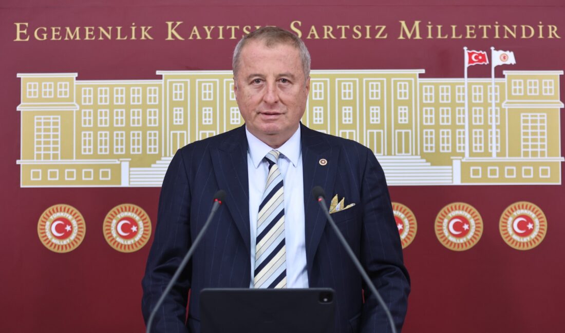 İYİ Parti Genel Başkan Yardımcısı ve Afyonkarahisar Milletvekili Hakan Şeref