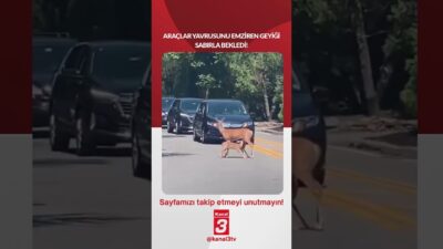 Kanal 3Çar, Haziran 17, 2026 4:00pmURL:Embed:📶https://kanal3.com.tr/ Sosyal Medya Hesaplarımızı Takip