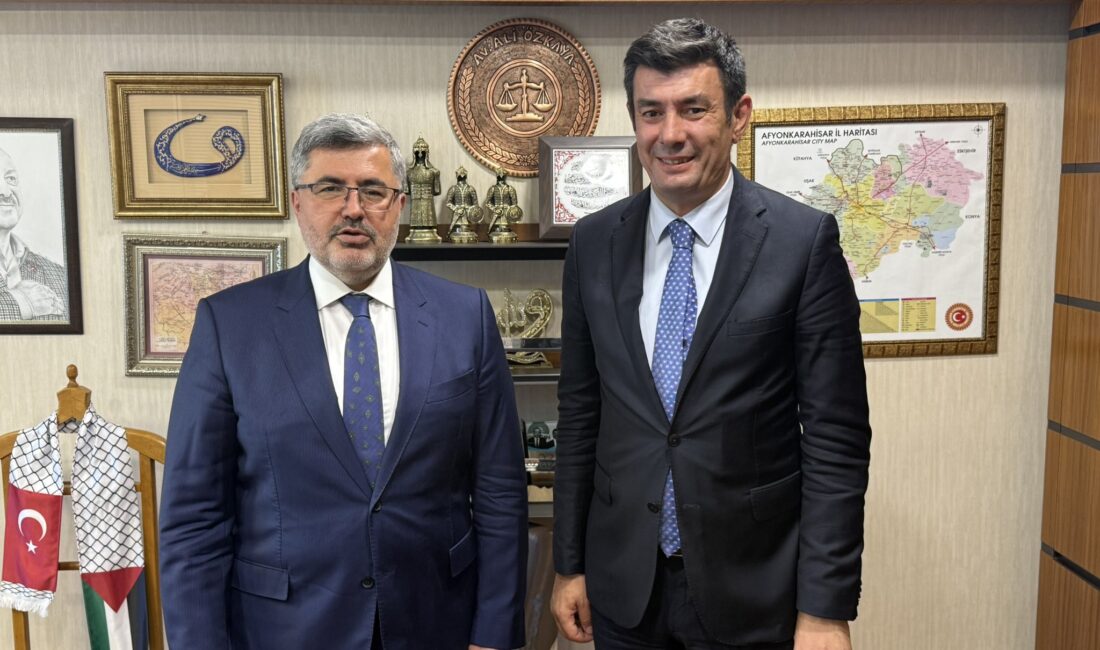 AK Parti Afyonkarahisar Milletvekili Ali Özkaya, Afyonkarahisar Vali Yardımcısı ve
