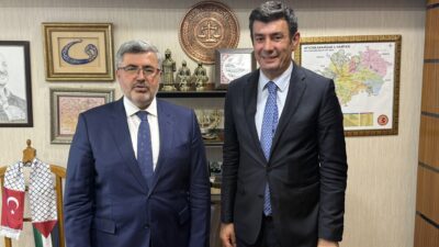 AK Parti Afyonkarahisar Milletvekili Ali Özkaya, Afyonkarahisar Vali Yardımcısı ve