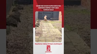 Kanal 3Paz, Haziran 28, 2026 2:00pmURL:Embed:Sahibi her zaman kapıda bekleyen