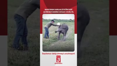 Kanal 3Cts, Haziran 27, 2026 12:00pmURL:Embed:Bakıcısının sarılma isteğini şakayla geri