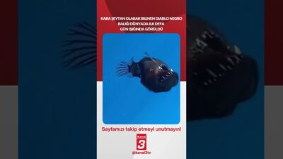 Kara şeytan olarak bilinen Diablo Negro balığı dünyada ilk defa