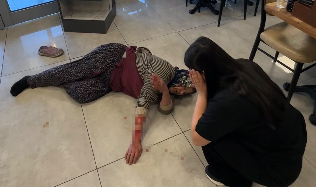 Afyonkarahisar'da kızıyla birlikte dinlenme tesisine gelen kadına saldıran köpek, kadının