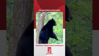 Son denemesinde hedefi şaşırdı! 📶https://kanal3.com.tr/ Sosyal Medya Hesaplarımızı Takip Ederek