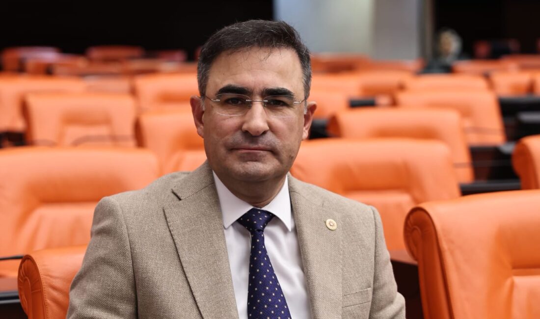 AK Parti Afyonkarahisar Milletvekili Dr. Hasan Arslan, TBMM Genel Kurulu'nda
