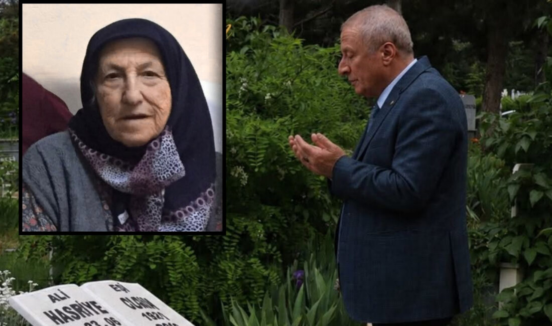 İYİ Parti Genel Başkan Yardımcısı ve Afyonkarahisar Milletvekili Hakan Şeref