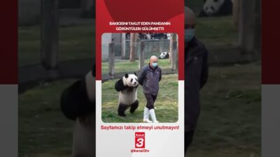 Bakıcısını taklit eden pandanın görüntüleri gülümsetti… 📶https://kanal3.com.tr/ Sosyal Medya Hesaplarımızı