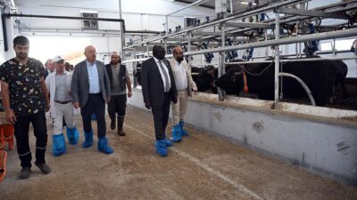 Afyon Kocatepe Üniversitesi (AKÜ) ile Sudan Al Neelain Üniversitesi arasında;