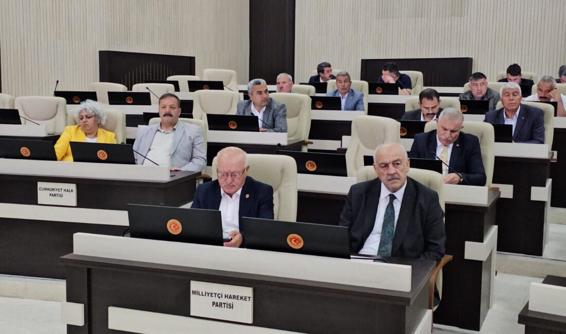 Afyonkarahisar İl Genel Meclisi Haziran ayı toplantılarının ikinci birleşimi, Meclis