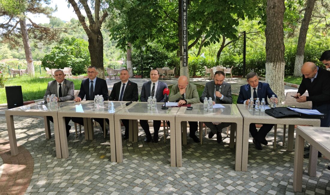 Afyonkarahisar İl Genel Meclisi Haziran ayı toplantılarının 4. birleşimi, Çay