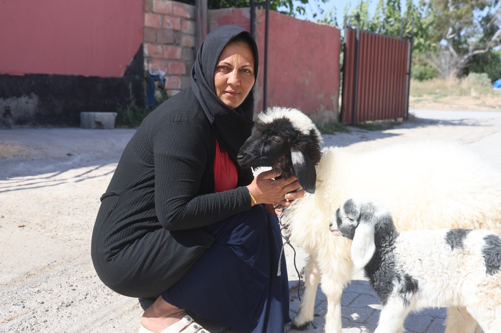 Evladını lösemiden kaybetti, teselliyi peşinden ayrılmayan kuzuda buldu