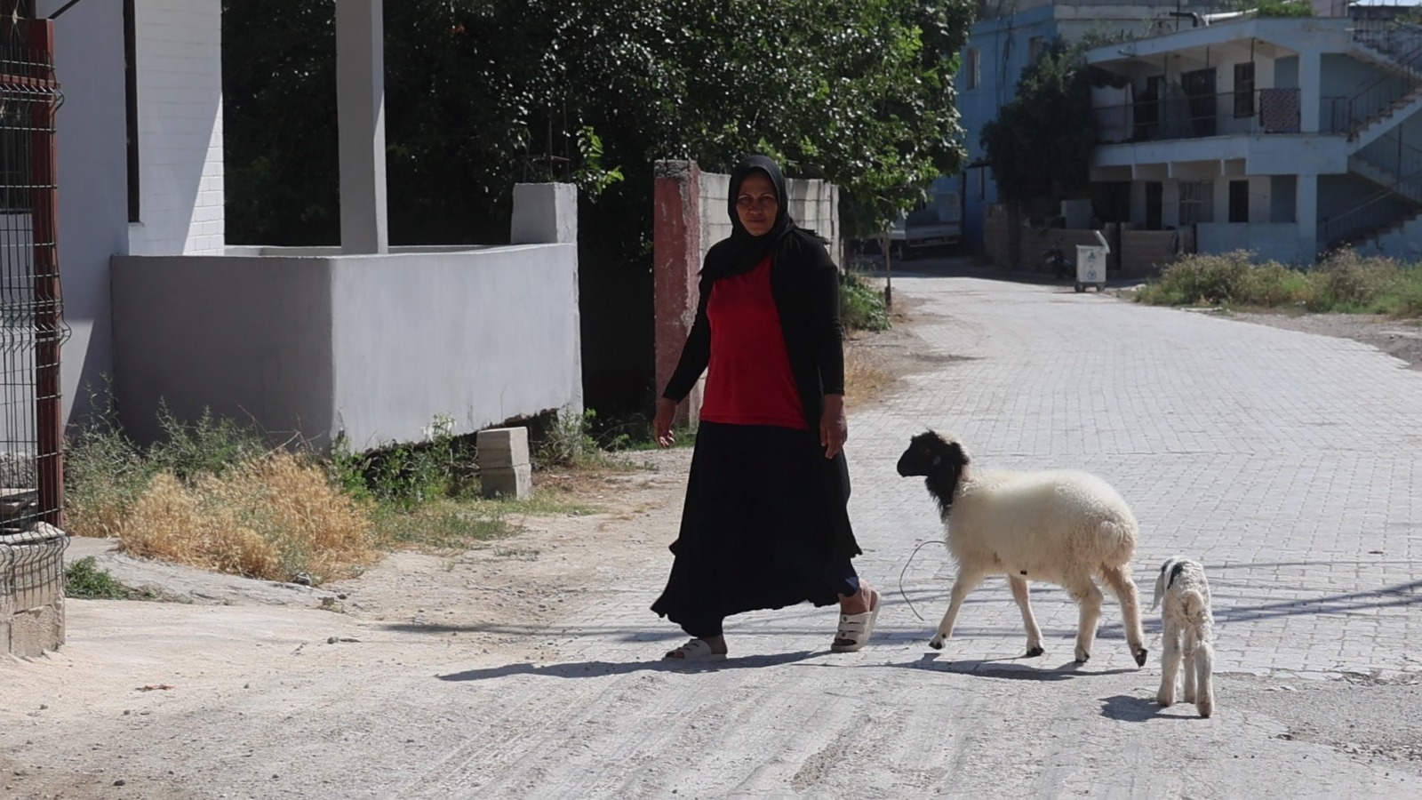Evladını lösemiden kaybetti, teselliyi peşinden ayrılmayan kuzuda buldu