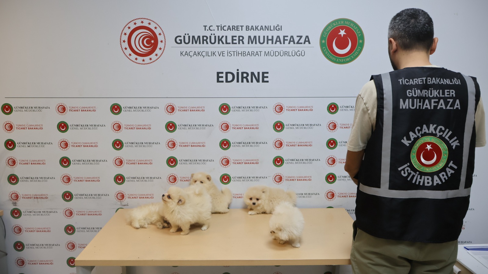 Yavru köpeklere yönelik kaçakçılık girişimine geçit yok